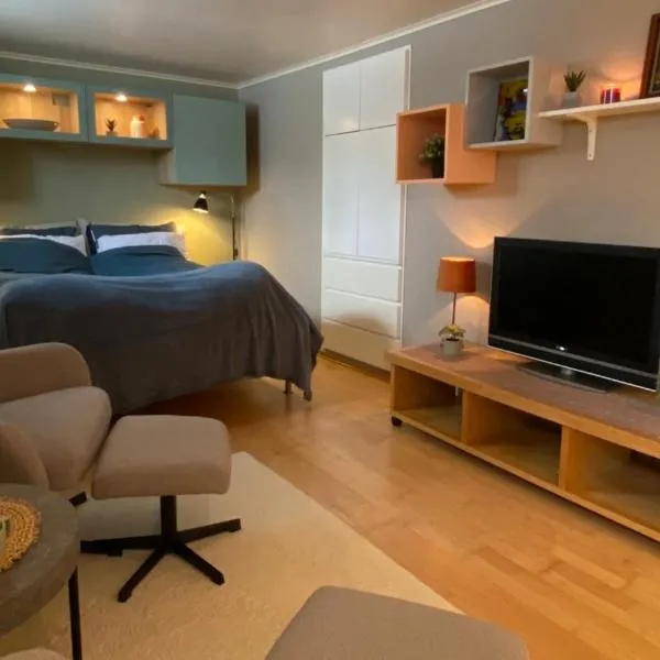 Leilighet sentralt til Sandefjord og Torp flyplass, hotel in Sandefjord