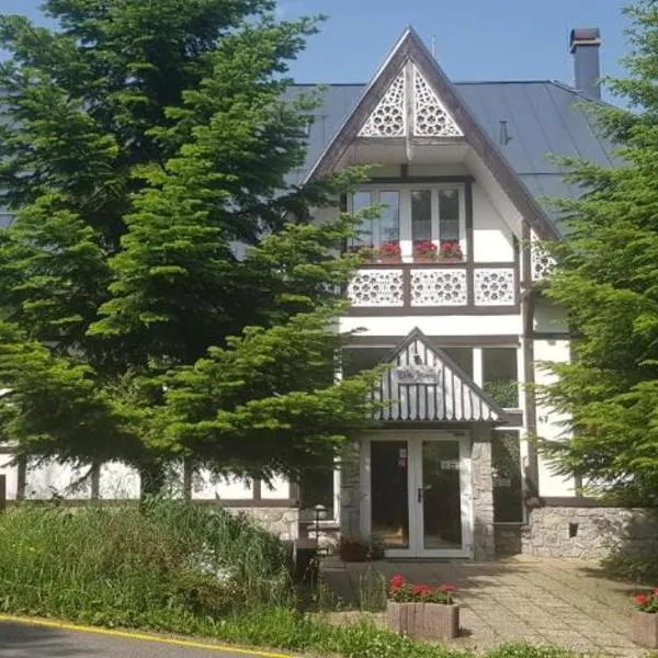 Vila Jedľa, hotel u gradu Visoke Tatre