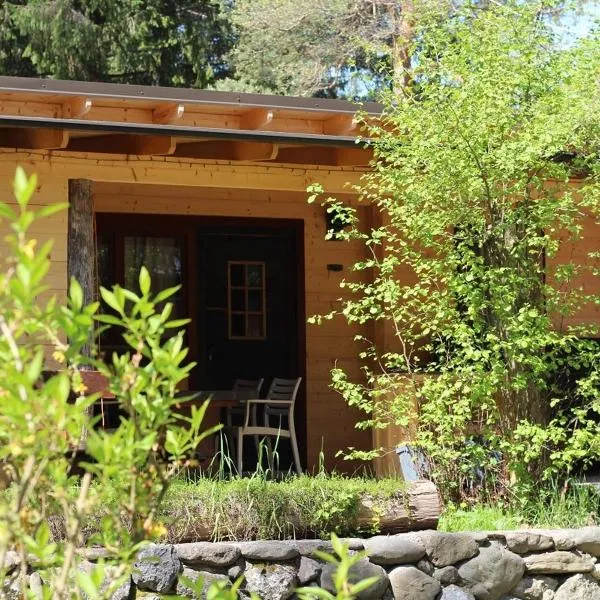 Wooden lodge with jacuzzi, hotel in Rečica ob Savinji