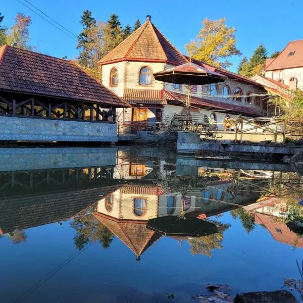 Ворота Карпат, hotel v destinaci Dilyatyn