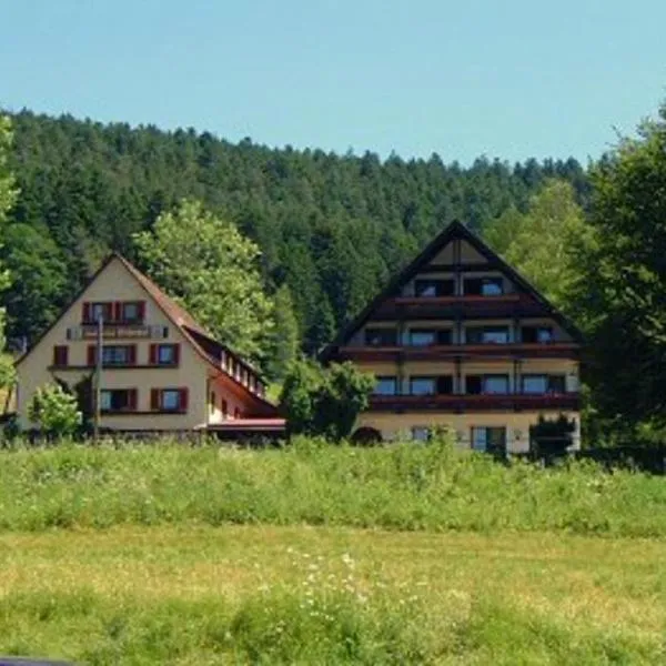 Gasthof Erlenhof, hotel v destinaci Alpirsbach