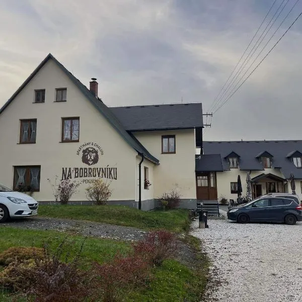 Penzion Na Bobrovníku, hotel in Lipova Lazne