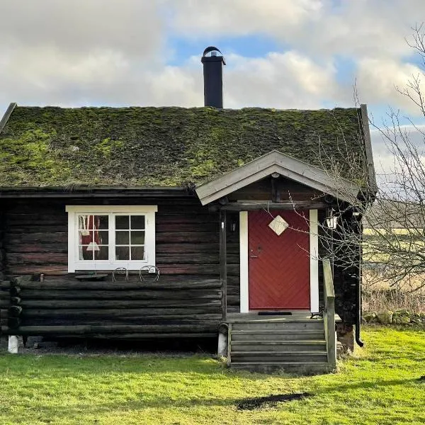 Backgårdens Timmerstuga, hotel v destinaci Falköping