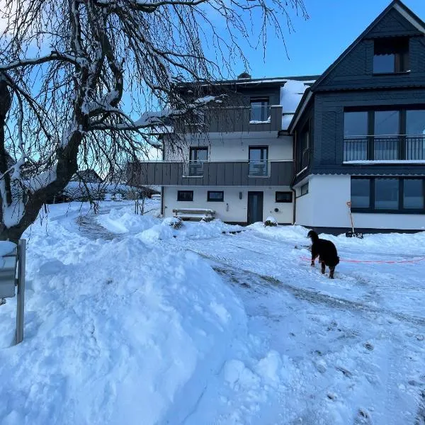 Astrid's Pension, hotel v destinaci Winterberg