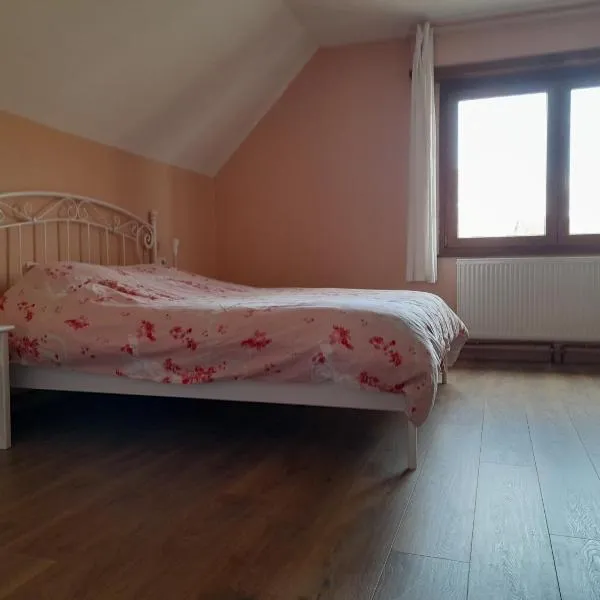 Appart 4 pers refait neuf 90m2 avec balcon, viešbutis mieste Baldenheim