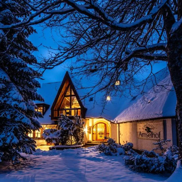 Landhaus Amselhof Hinterzarten, hotel in Hinterzarten