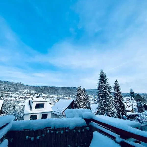 Ferienwohnung mit Talblick für Monteure, Hotel in Kirschhausen