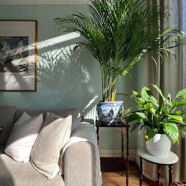 2025 Award Winner Liverpool Strawberry House - 3 Bedrooms, hotel in Liverpool