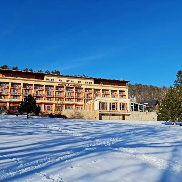 Wellness Resort Energetic, hotel in Veřovice