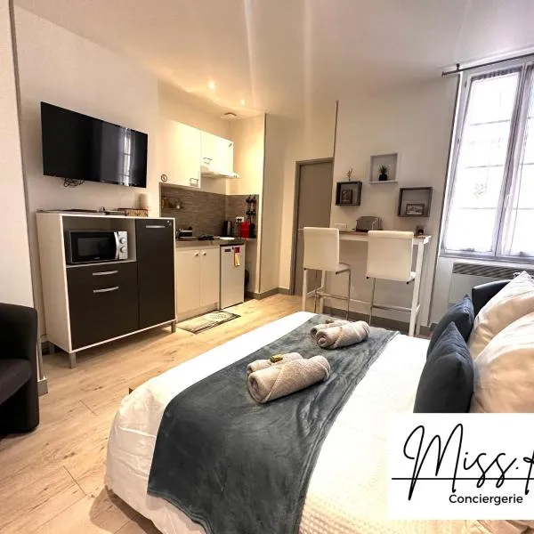 "Les Angelots", hotel in Mâcon