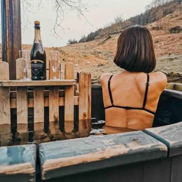 Ash Cabin with Hot Tub, khách sạn ở Barmouth