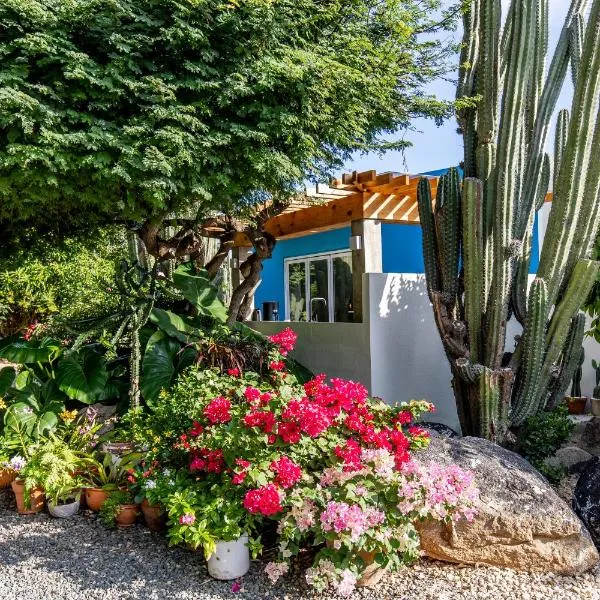 Naïma Luxury Home, Cottage & Apartment Rentals, hotel v destinaci Paradera