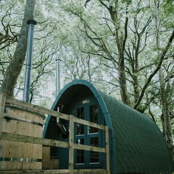 Oak SPECIAL WINTER OFFERS - Hot tub, hotel in Barmouth