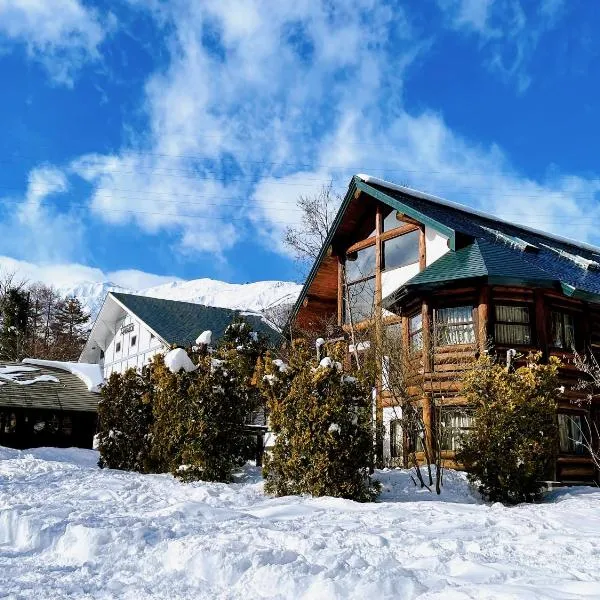 Hakuba Pension & Log Hotel Meteor, hotel v destinaci Hakuba