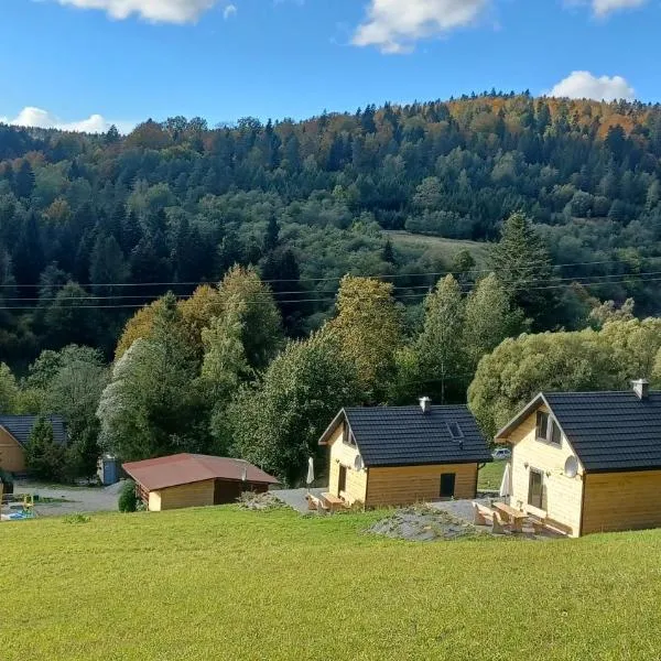 Leśny dzban, hotel v destinaci Komancza