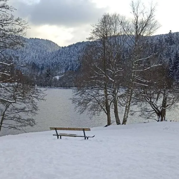 A 2 pas du lac: Xonrupt-Longemer şehrinde bir otel