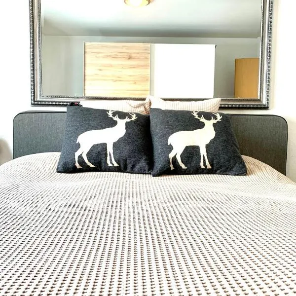 Holiday Apartment Gian - close to the Kongresshaus, the ice hockey stadium, cross-country skiing, the Eau-la-la indoor pool and wellness, large supermarket, 2 bus stops, with an indoor garage and fully equipped, Hotel in Davos