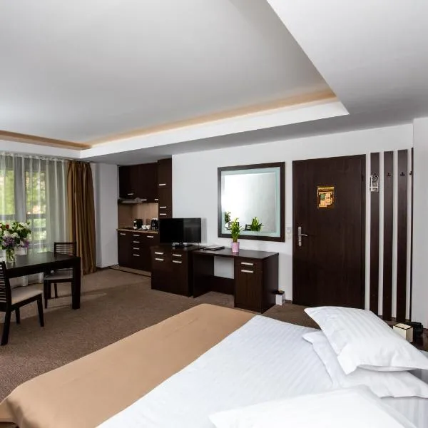 ホテル スマート（Hotel Smart）、シナイアのホテル