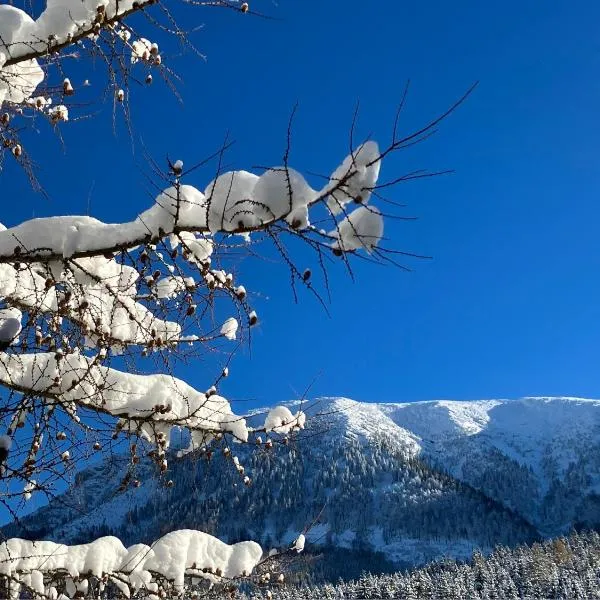 Teichwies'n Alm Wilde Wunder Card, hotel din Lackenhof