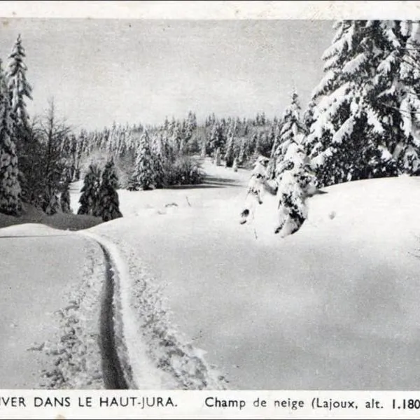 Gîte sur Châtillon, hotel in Moirans-en-Montagne