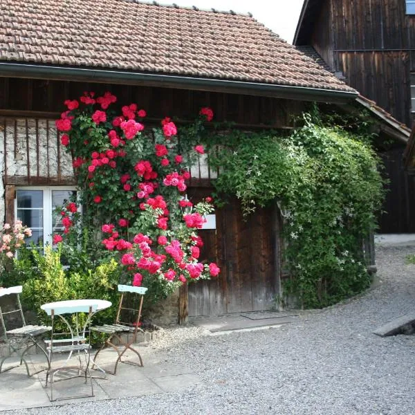 Idyllisches Wöschhüsli, hotel v destinaci Knonau