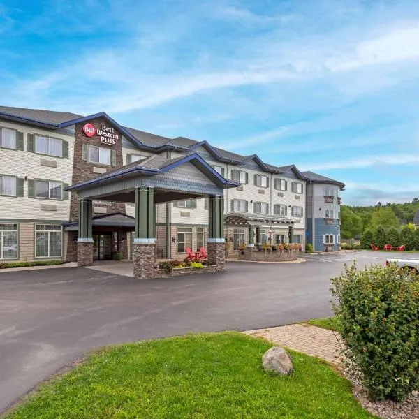 Best Western PLUS Vineyard Inn and Suites, hotel in Crosby