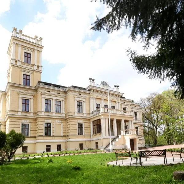 Pałac Biedrusko, hotel a Jaracz