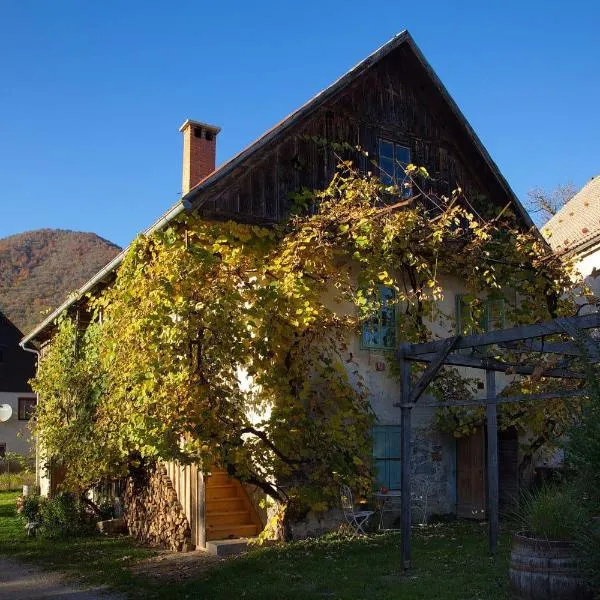 Vintage House Podliparska, hotel v Osilnici