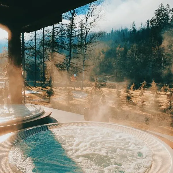 Aries Hotel & SPA Wisła, hotell sihtkohas Wisła