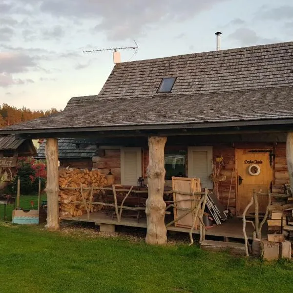 Dzika Chata, hotel v destinaci Nowy Barkoczyn