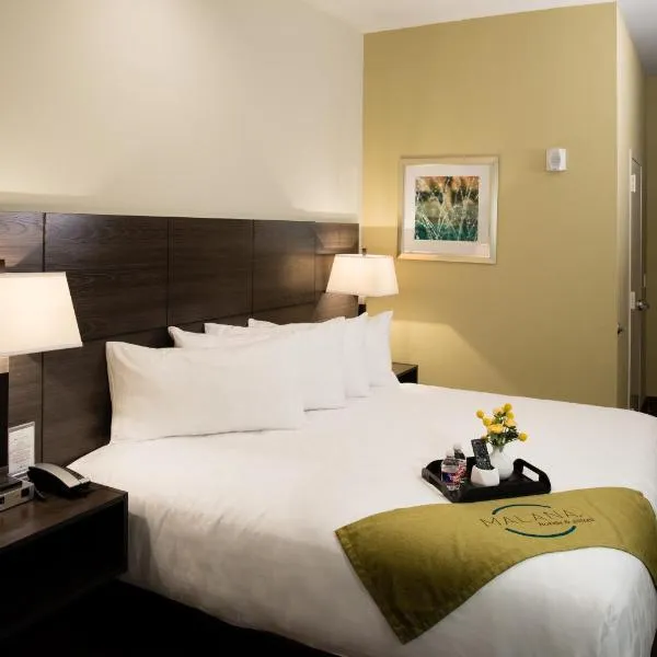 Malana Hotels & Suites, Hotel in Cotulla