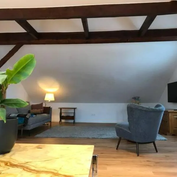 Luxury Top Floor Appartment, hotel in Kassel