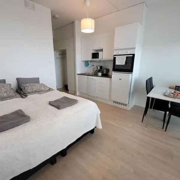 Bright studio apartment on the 6th floor, hotel en Kerava