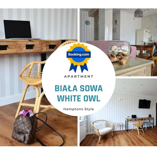 Apartament BIAŁA SOWA - WEIßE EULE Apartment、コウォブジェクのホテル