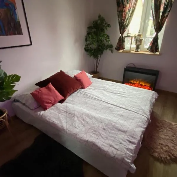 Agroturystyka Siedlisko, hotel di Paplin