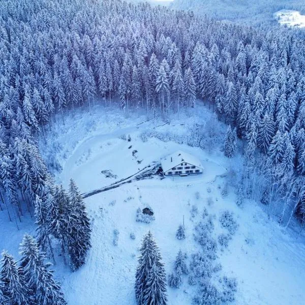 La Ferme des 3 lacs, ξενοδοχείο σε Xonrupt-Longemer