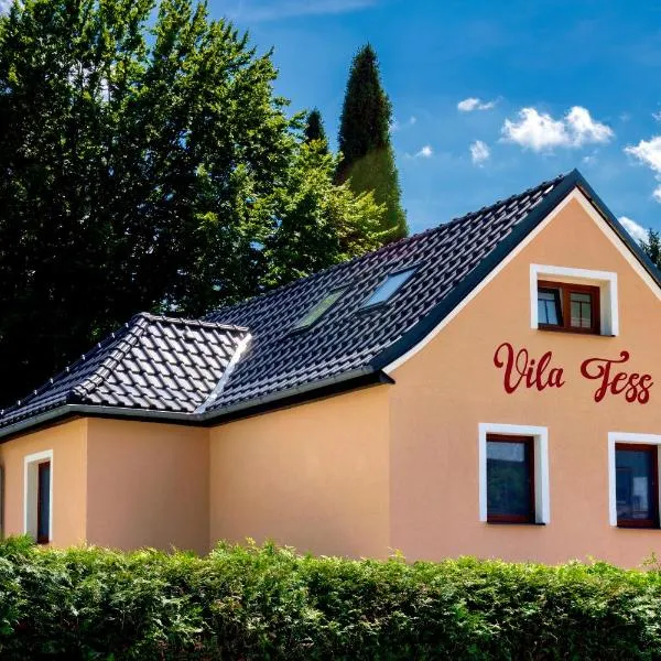 Vila Tess – hotel w mieście Lázně Libverda