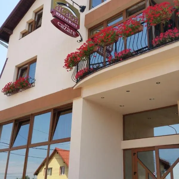 Pensiunea Acasa, hotell i Sibiu