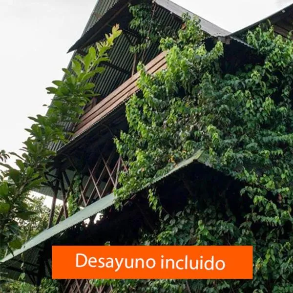 Ayahuasca, viešbutis mieste Puerto Nariño