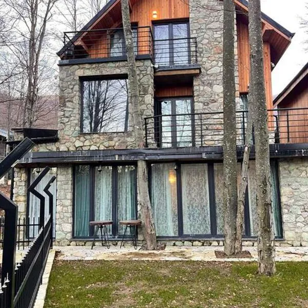 Villa Brezovica near skiing center, hotel v destinaci Brezovicë