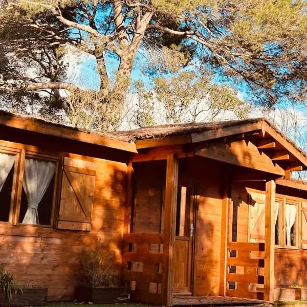 Chalet bois jacuzzi, hótel í Bessan