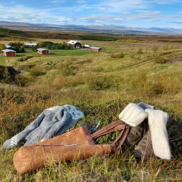 Ásgeirsstaðir Holiday Homes, hotel in Lagarfljótsvirkjun