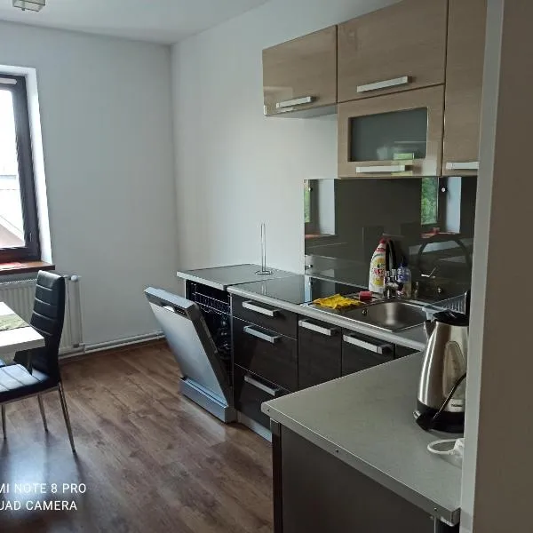 Apartament Polański z tarasem na dachu photo 2