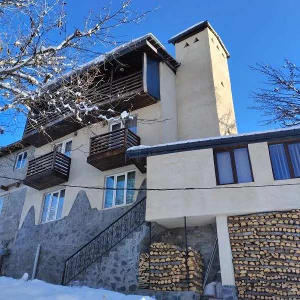 Spardishi tower, hotel in Mestia