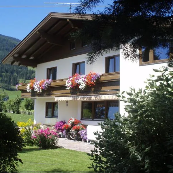 Appartements Winter Anita, hotel ve Flachau