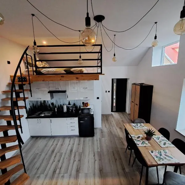 Apartament z antresolą, hotel in Mikoszewo
