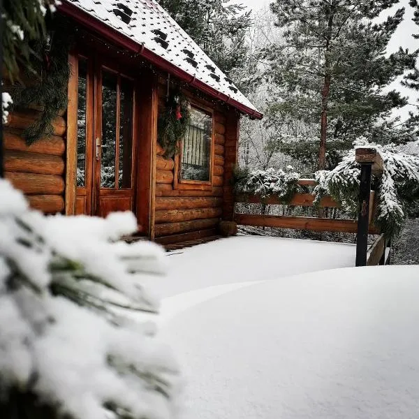 Nice House, hotel in Novaya Skvaryava