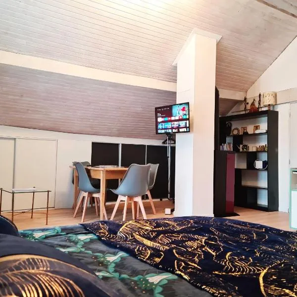 Vaste studio chaleureux, hotel a Chaffois