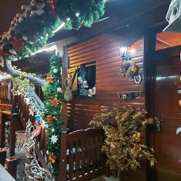 Vila Zorka, hotel v destinaci Nova Varoš