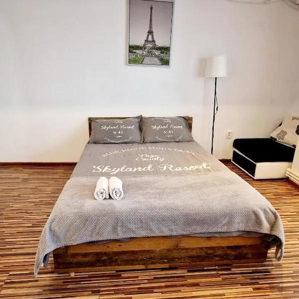 Studio Cathedral, hotel in Brăila